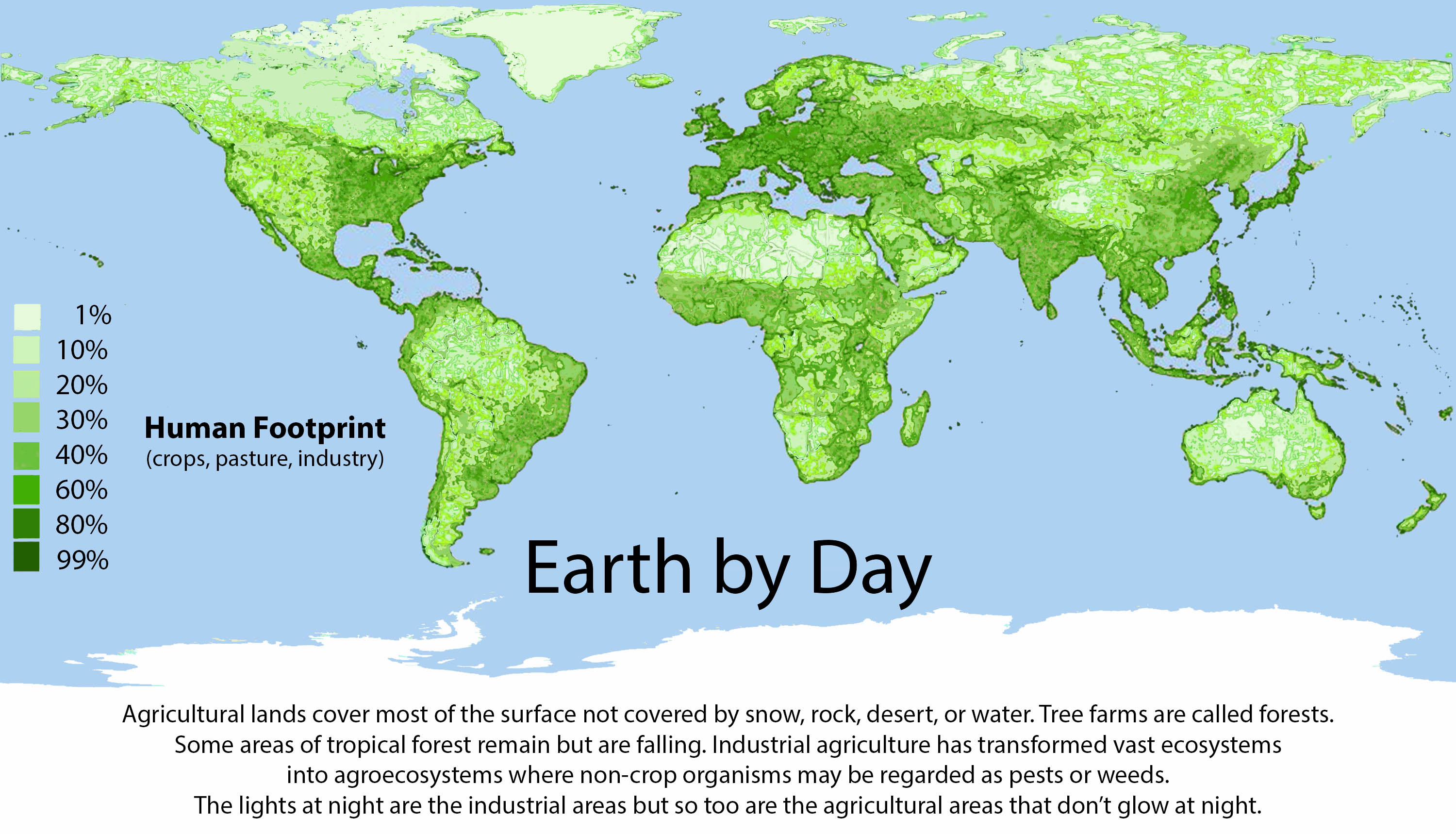 human footprint