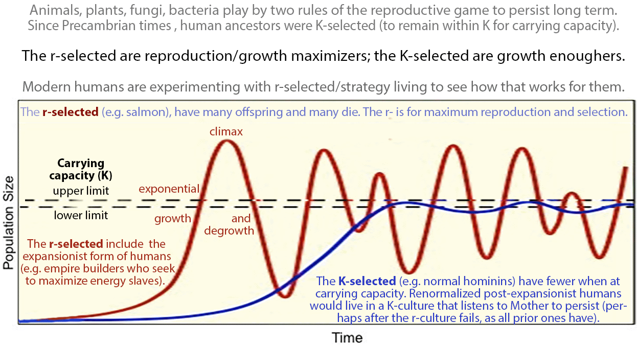 Why is it that Garry Kasparov has a really high IQ? - Quora