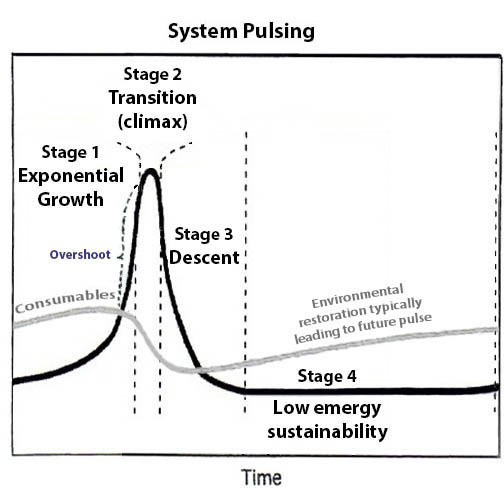 Chart of natural system
                  pulsing