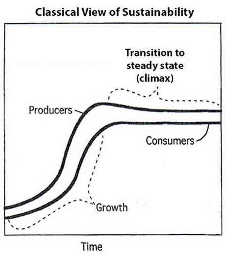Chart of classical view of sustainability