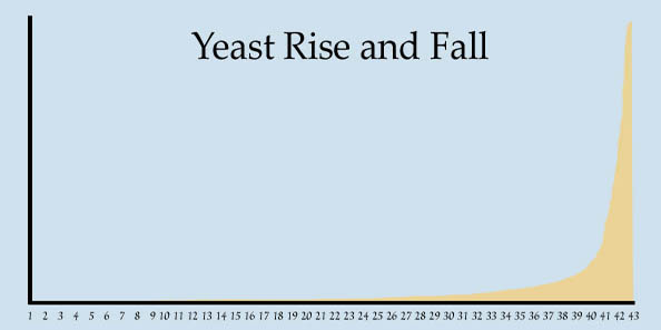 Yeast rise and fall