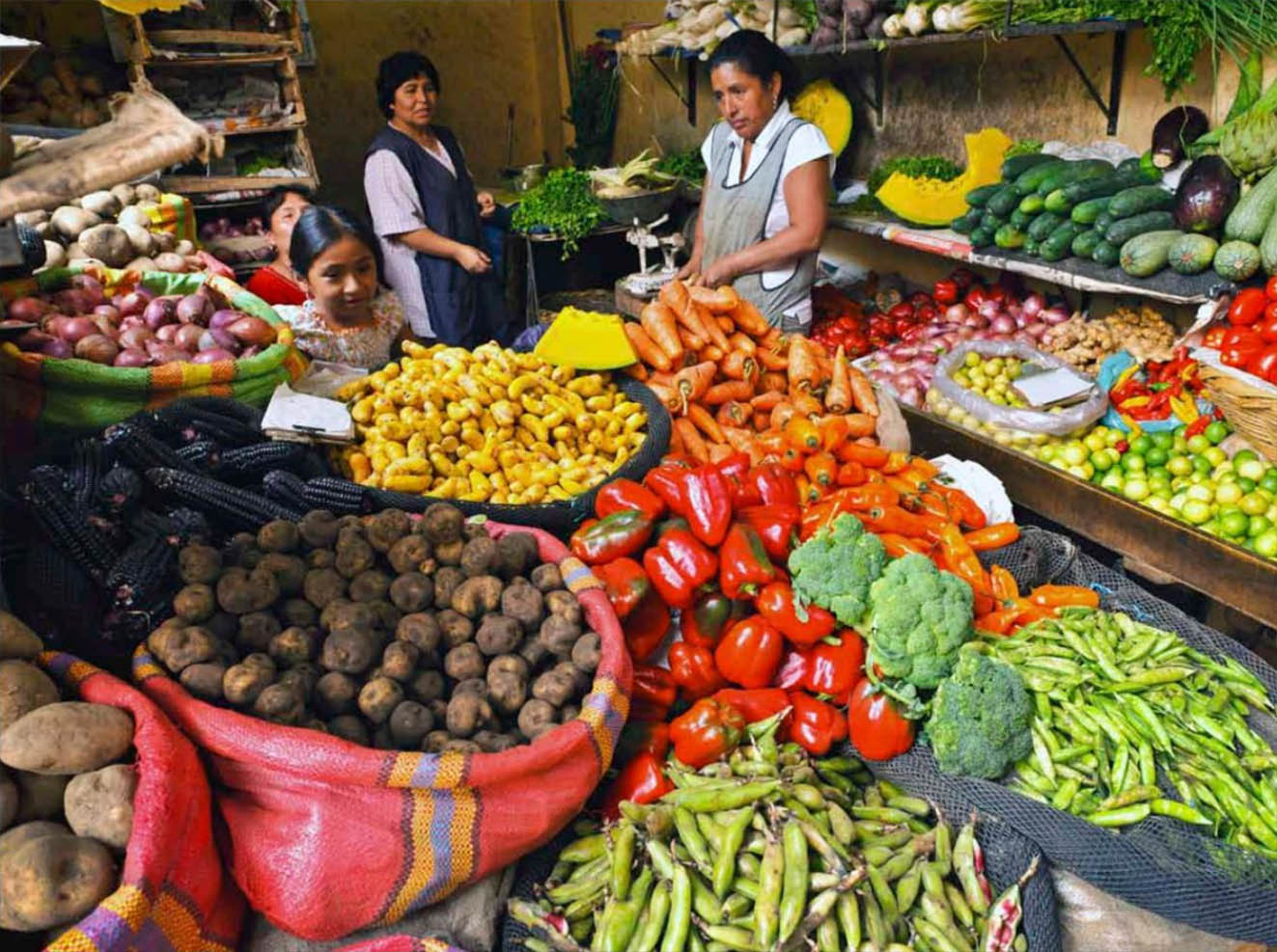 Dark Markets Peru