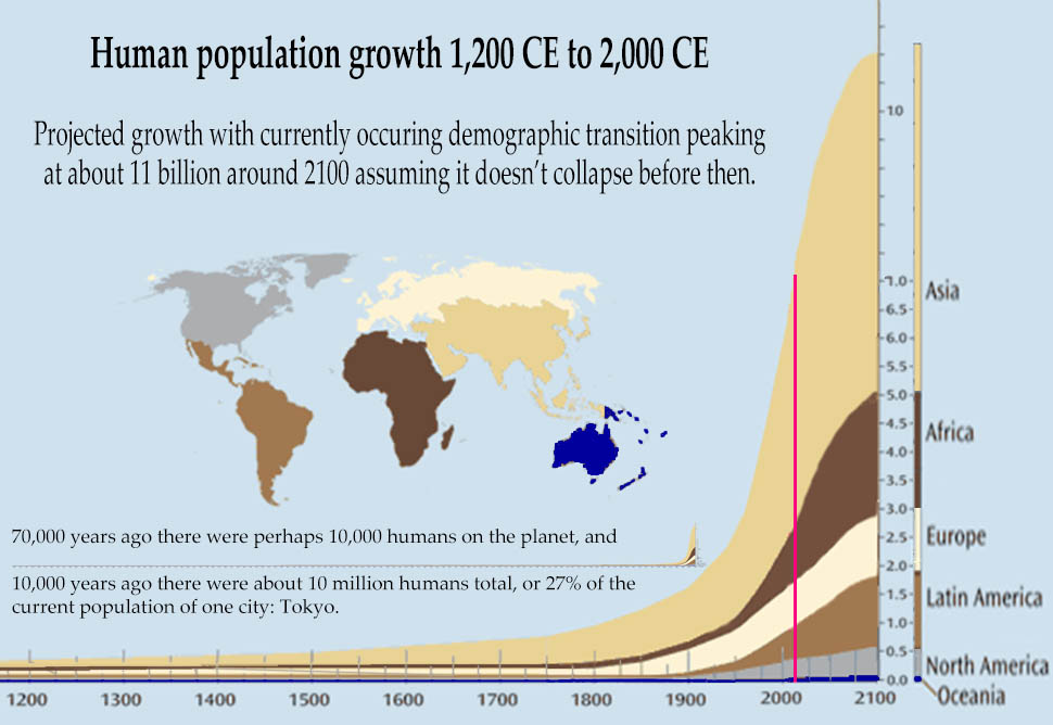 world population